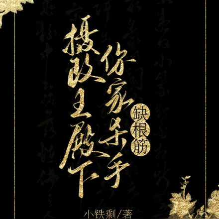 摄政王殿下,你家杀手缺根筋!全文免费阅读